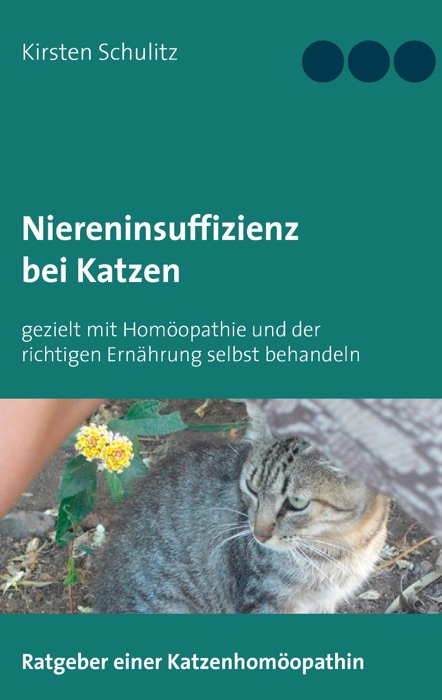 Niereninsuffizienz bei Katzen