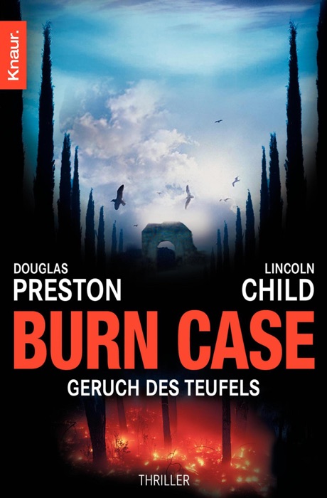 Burn Case