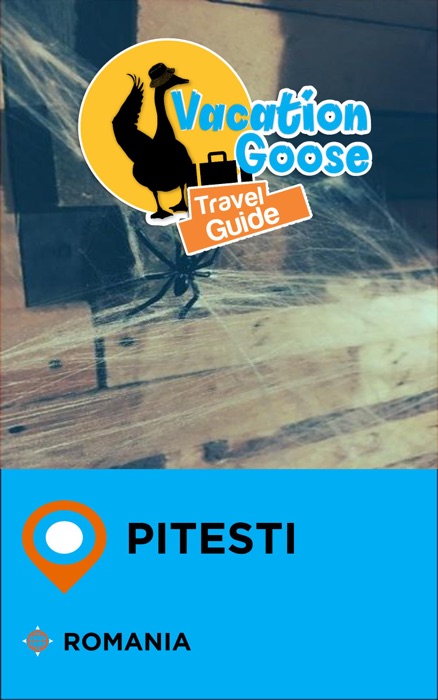 Vacation Goose Travel Guide Pitesti Romania