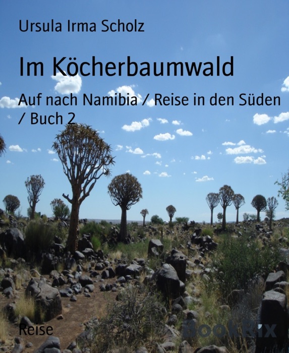 Im Köcherbaumwald