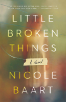 Nicole Baart - Little Broken Things artwork