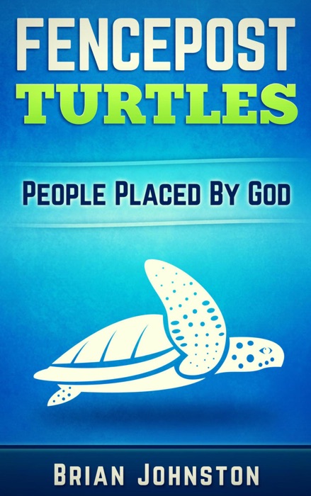 Fencepost Turtles - People Placed by God