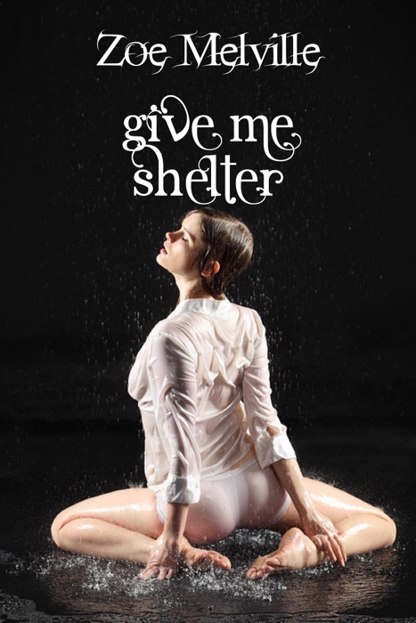 Give Me Shelter: a Short Encounter