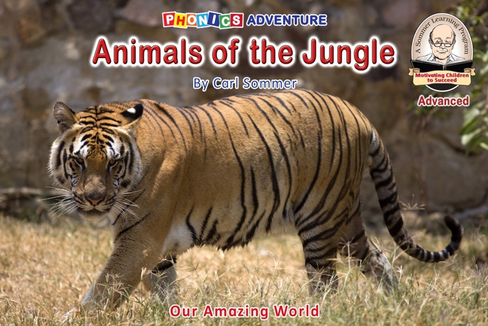 Animals of the Jungle