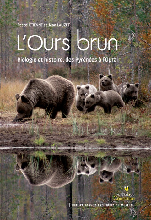 L’Ours brun