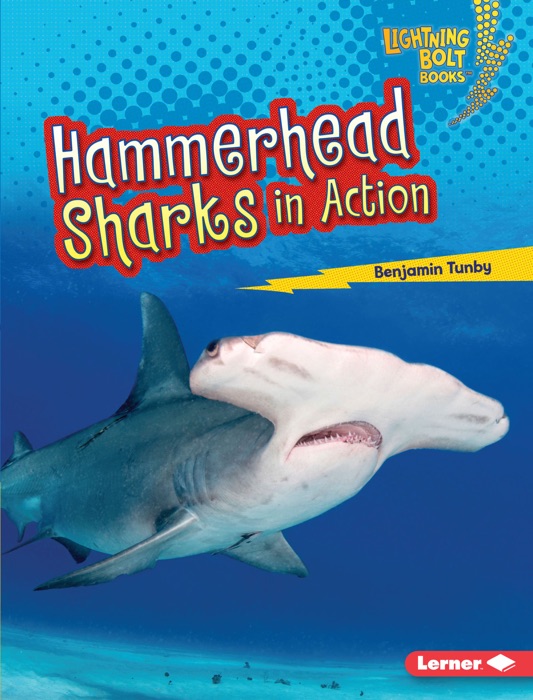 Hammerhead Sharks in Action