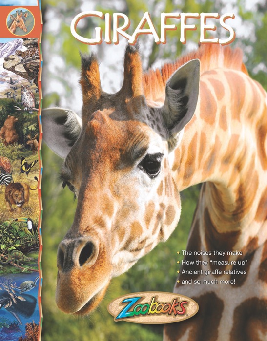 Zoobooks Giraffes