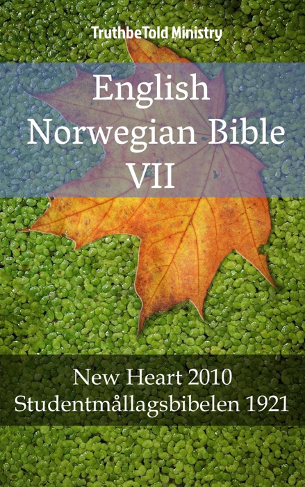 English Norwegian Bible VII