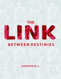 Book's Cover of The Link Between Destinies