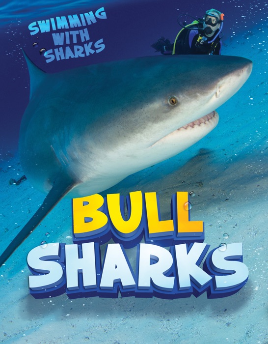 Bull Sharks