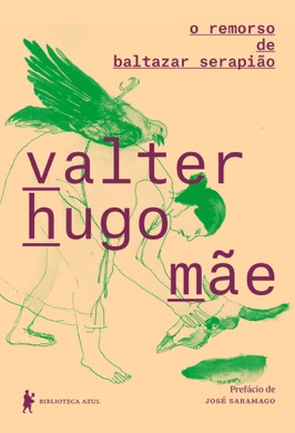 Capa do livro O Remorso de Baltazar Serapião de Valter Hugo Mãe