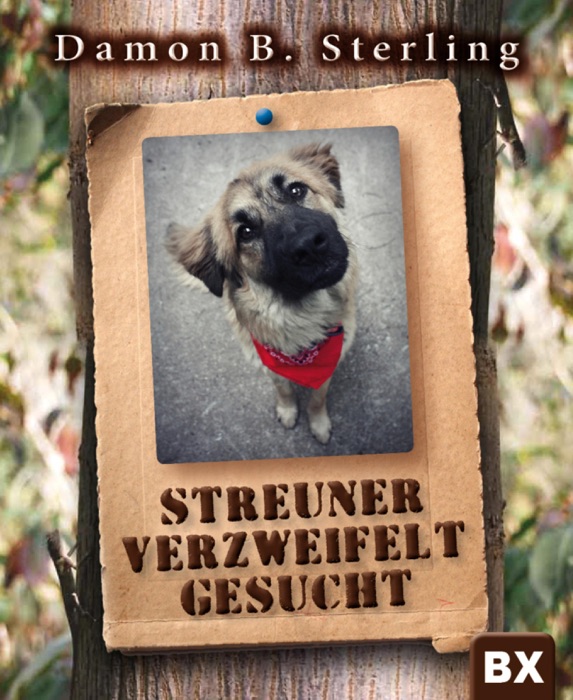 Streuner verzweifelt gesucht