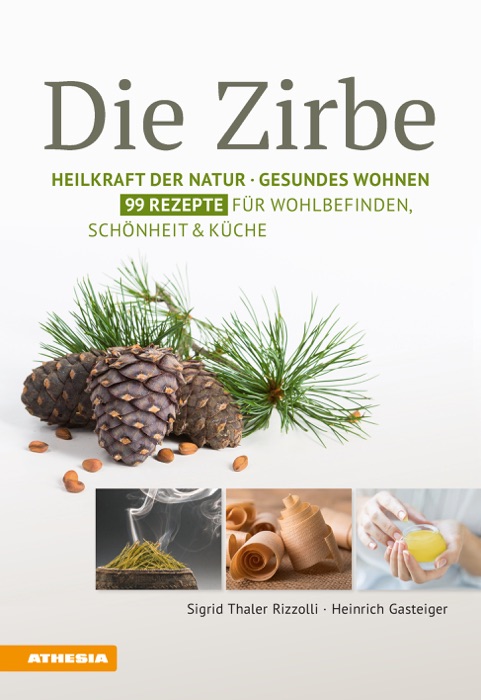 Die Zirbe