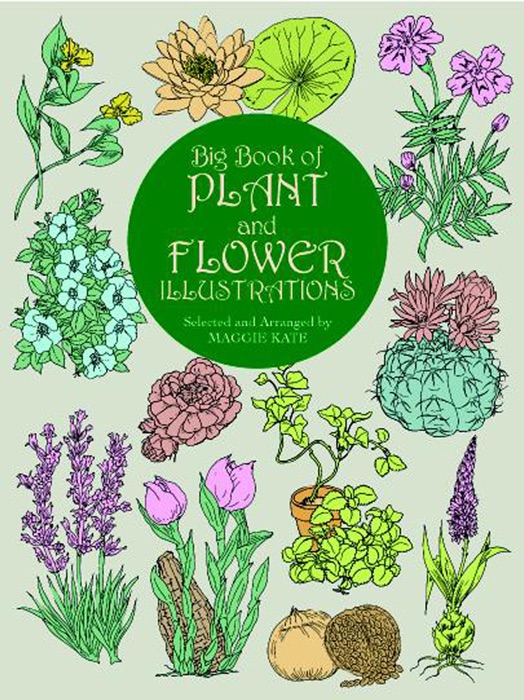 Big Book of Plant and Flower Illustrations