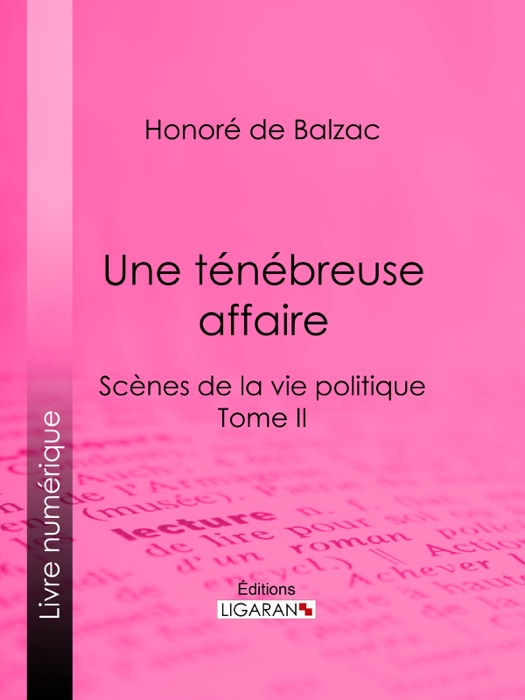 Une ténébreuse affaire