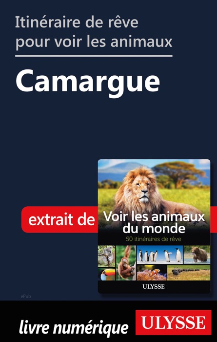 Itinéraire de rêve pour voir les animaux -  Camargue