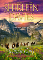 Shirleen Davies - Solitude Gorge artwork