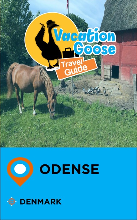 Vacation Goose Travel Guide Odense Denmark