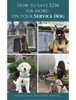 How to Save $25k - or More - on Your Service Dog - Victoria Warfel