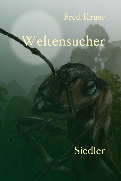 Weltensucher - Siedler (Band 2)