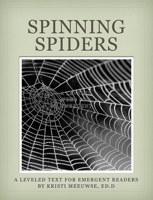 Spinning Spiders