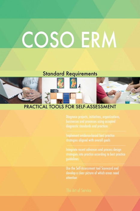 COSO ERM Standard Requirements