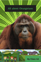 Class 4A, Davyhulme Primary School - All About Orangutans artwork