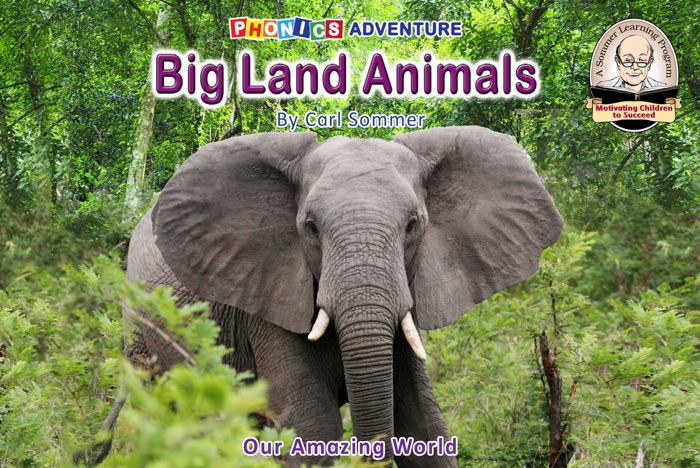 Big Land Animals