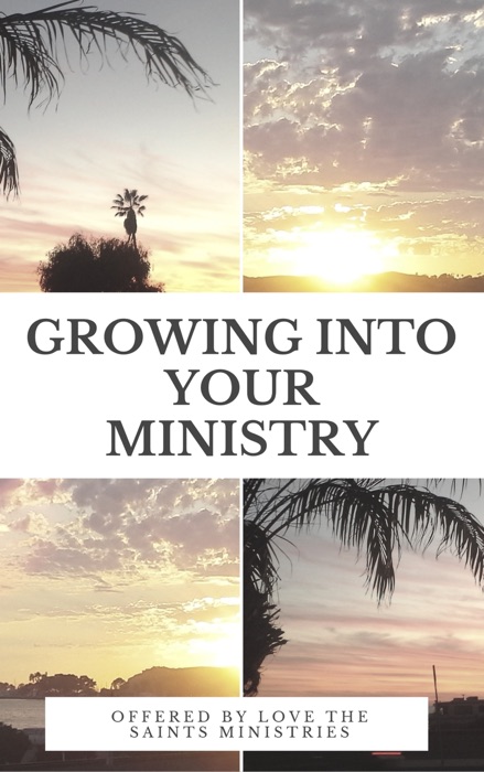 Growing into Your Ministry: Volume One