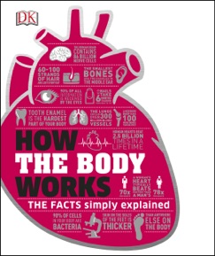 How the Body Works - DK