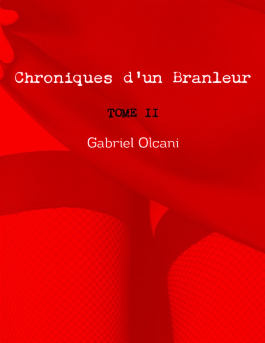 Chroniques d'un branleur Tome II
