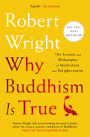 Robert Wright - Why Buddhism is True artwork