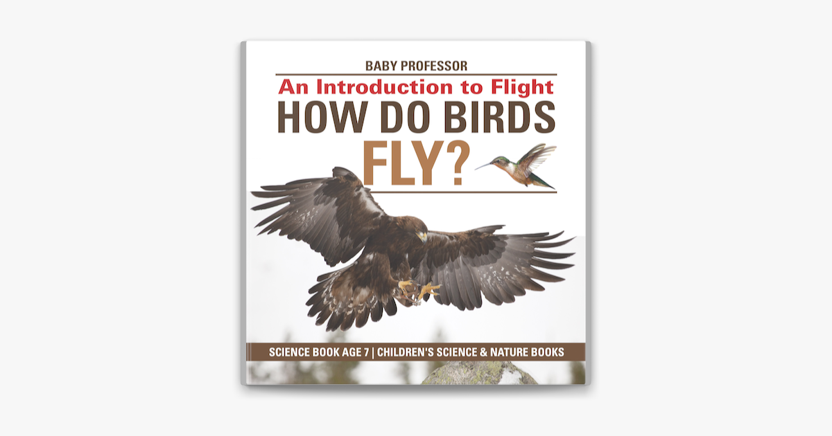 ‎How Do Birds Fly? An Introduction to Flight - Science Book Age 7 ...