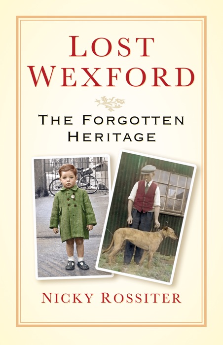 Lost Wexford