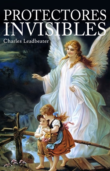 PROTECTORES INVISIBLES