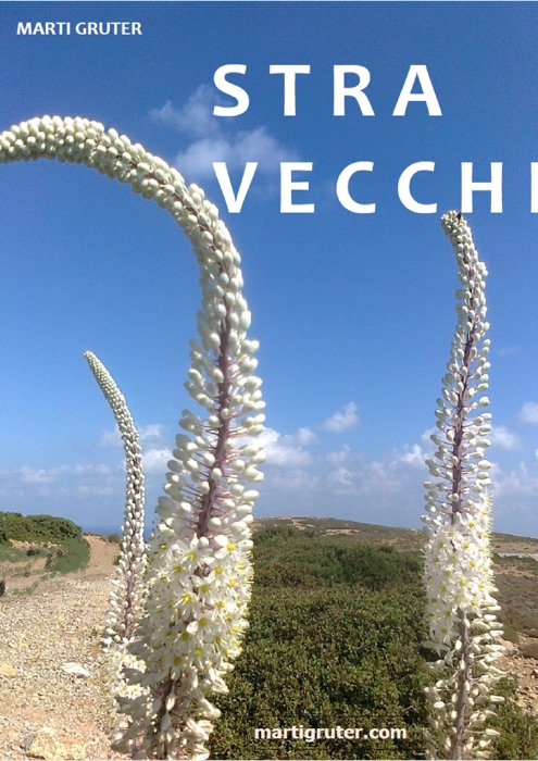 Stravecchi