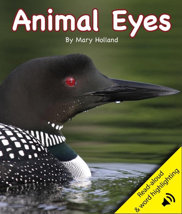 Animal Eyes