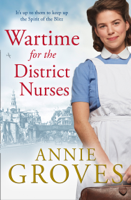 Annie Groves - Wartime for the District Nurses artwork