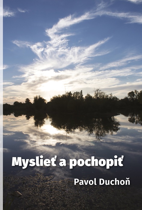 Myslieť a pochopiť