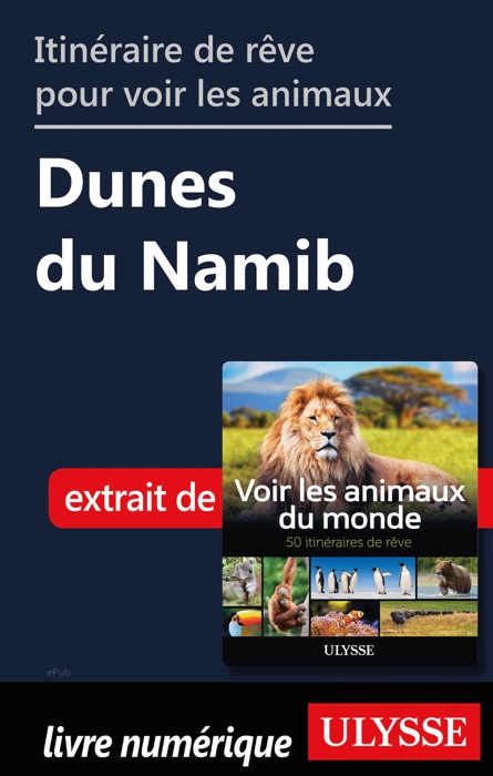 Itinéraire de rêve pour voir les animaux -  Dunes du Namib