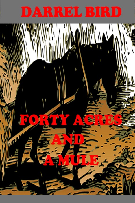 Forty Acres and a Mule