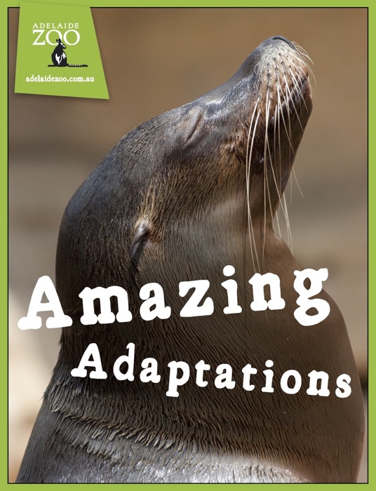 Animal Adaptations