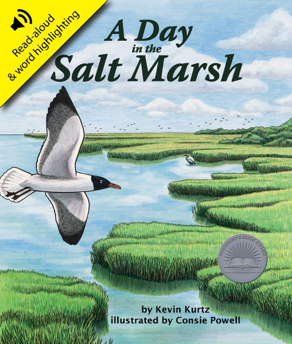 Day in the Salt Marsh, A