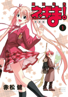 新装版 魔法先生ネギま!(1)