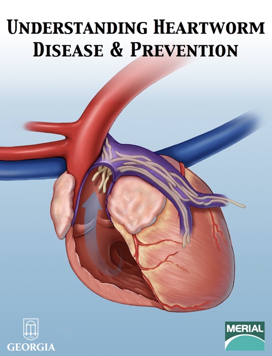 Understanding Heartworm Disease & Prevention
