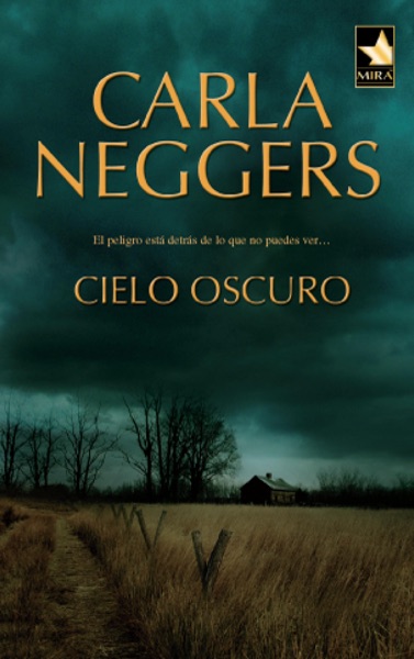 Cielo oscuro