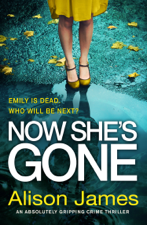 Now She's Gone - Alison James Cover Art