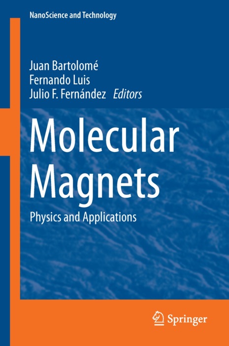 Molecular Magnets