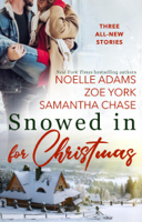 Noelle Adams, Samantha Chase & Zoe York - Snowed in for Christmas artwork