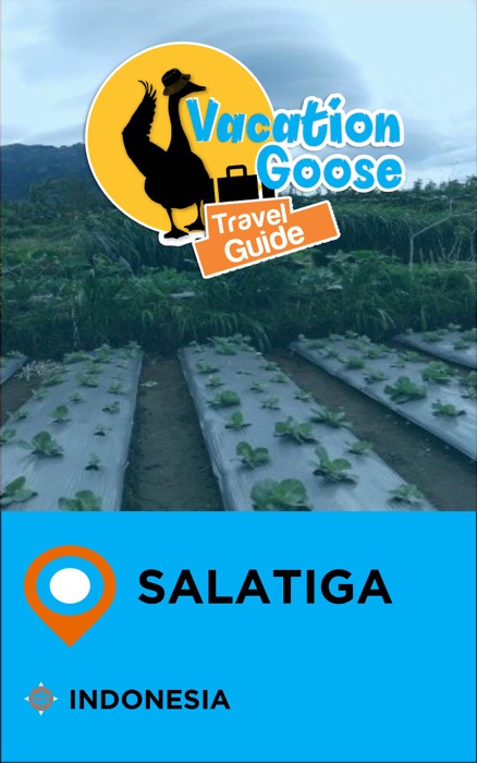 Vacation Goose Travel Guide Salatiga Indonesia